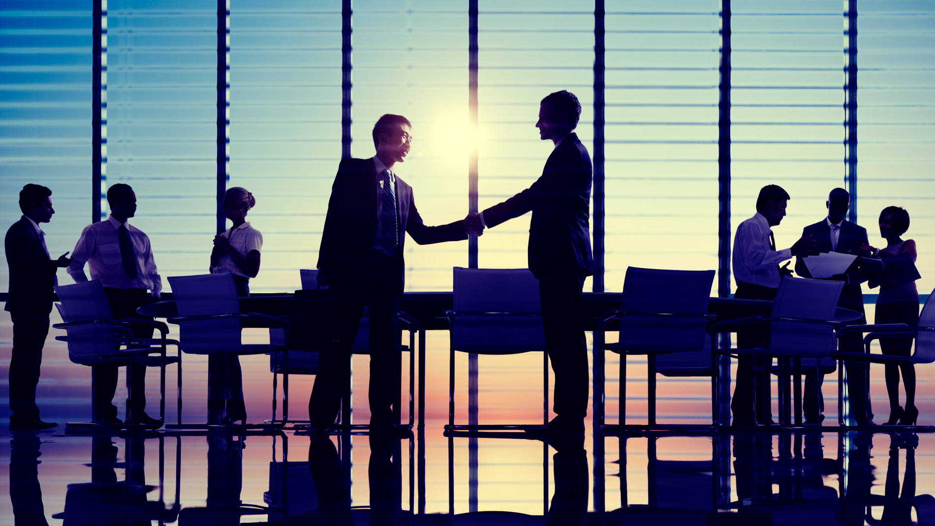 Conselho de Administração vs Comitê Executivo